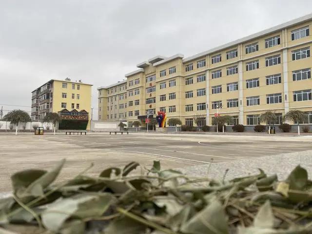 沈陽校園文化設計，遼寧學校校園創意設計【專業】